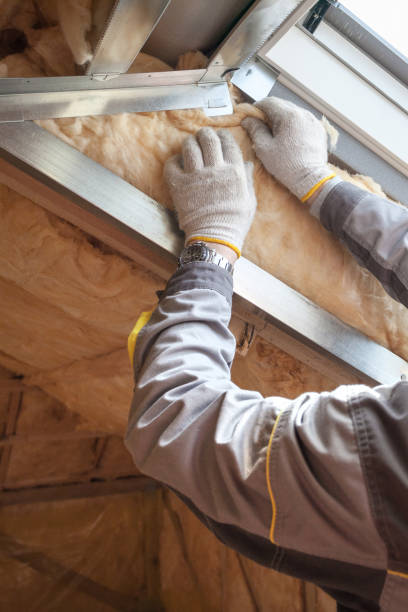 Insulation Repair Services in Eureka Mill, SC