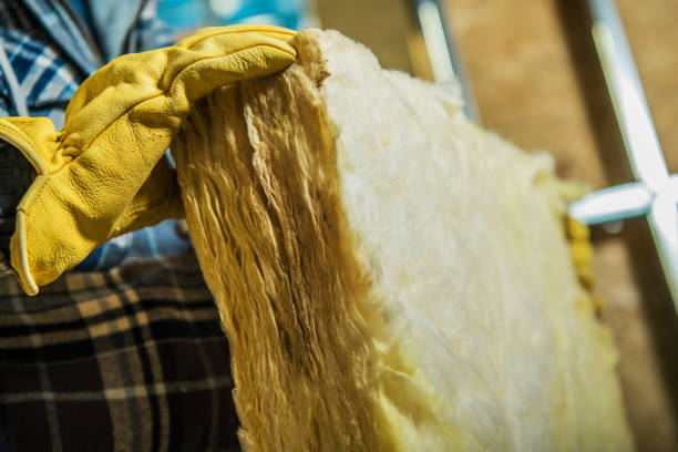 Best Fiberglass Insulation  in Eureka Mill, SC
